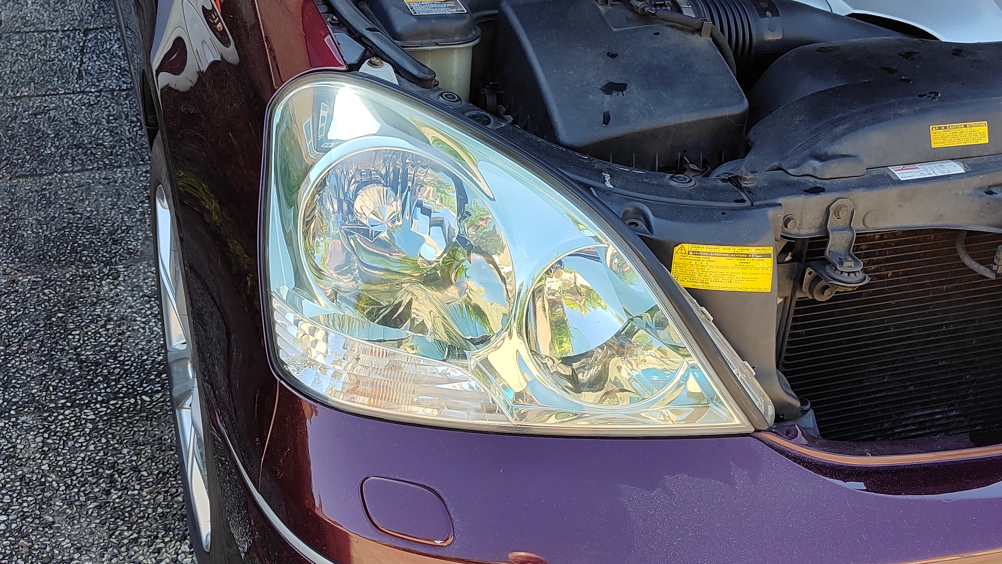 1000025612.jpg