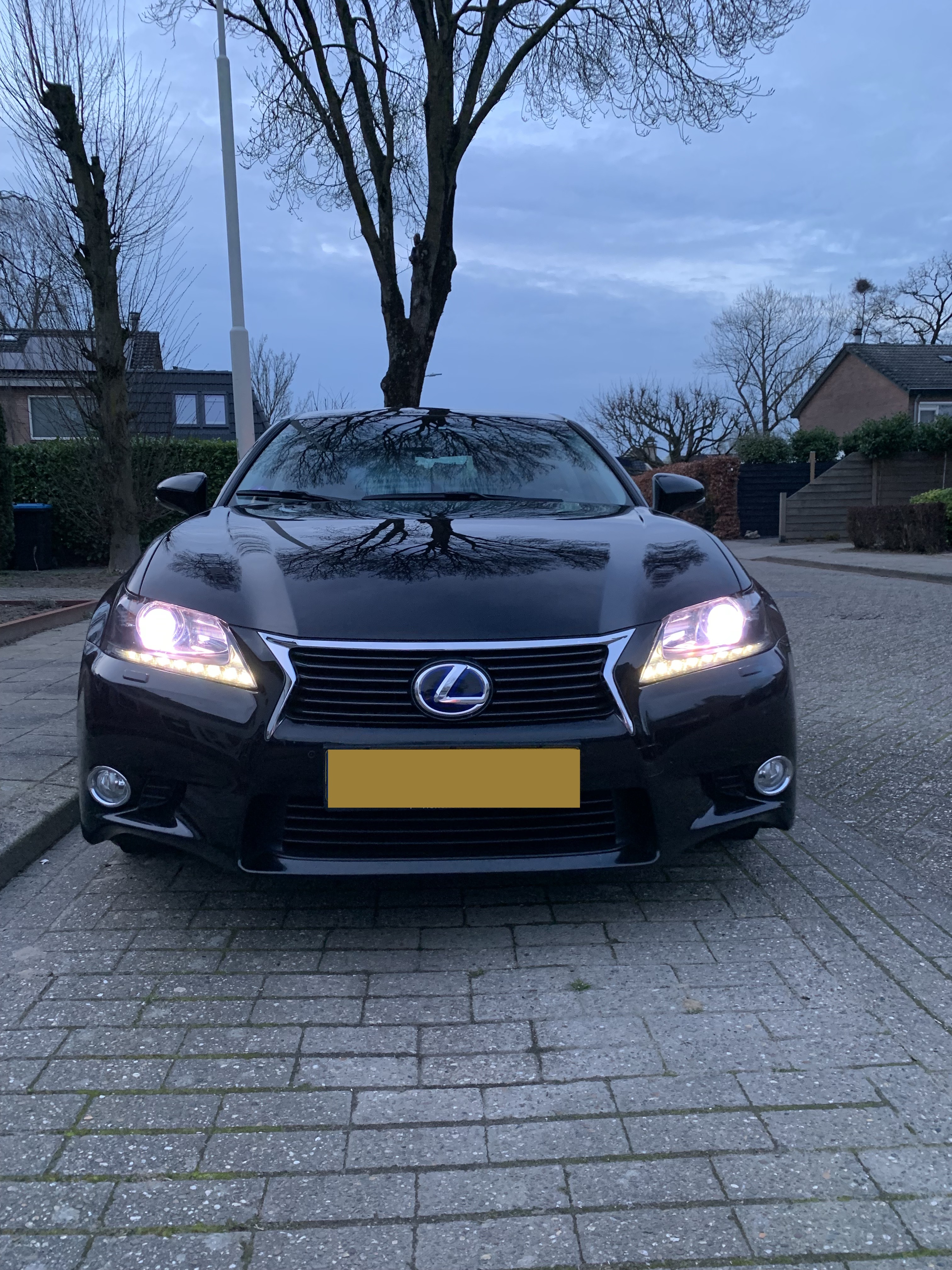 1711301513235.jpeg