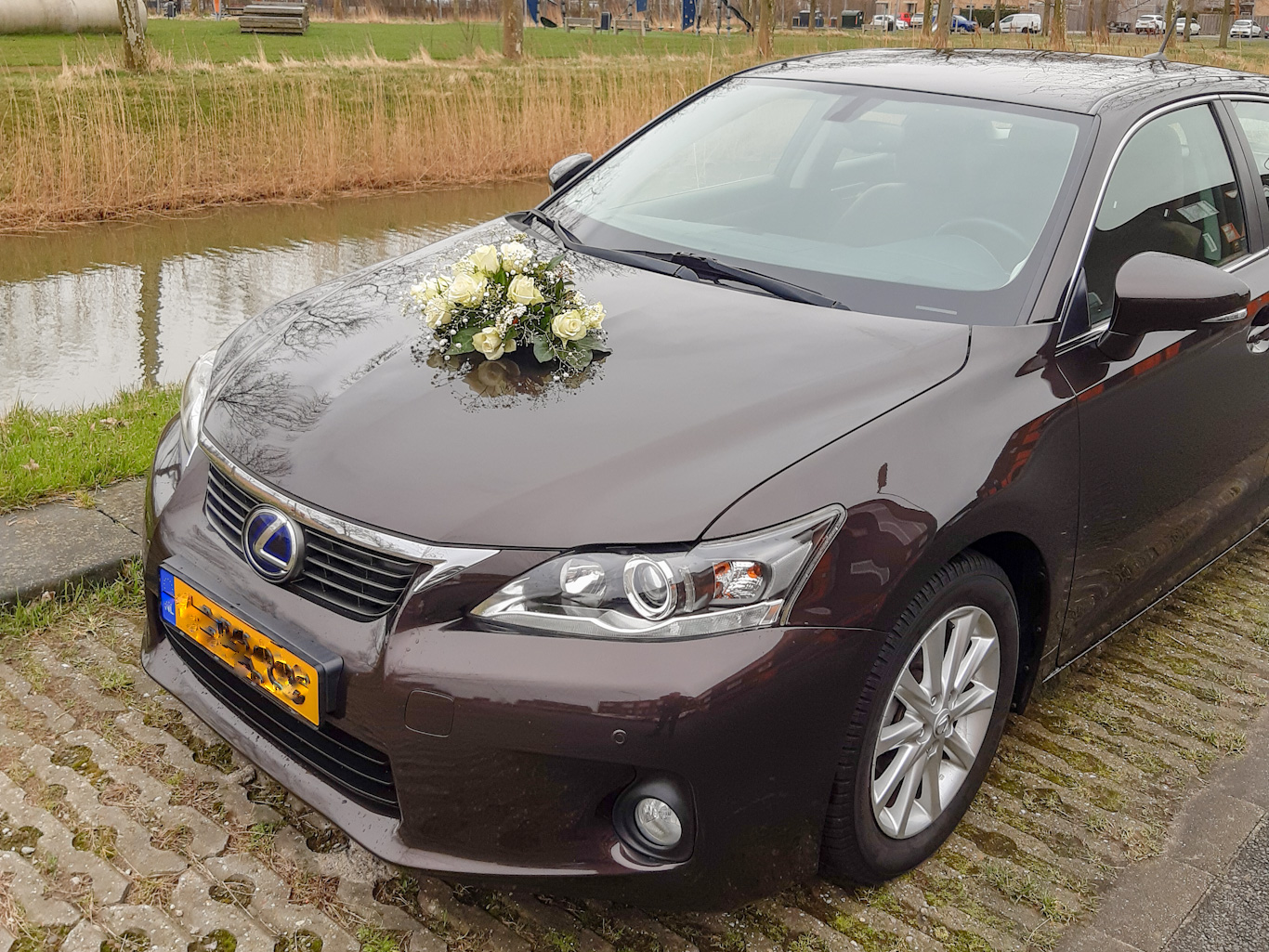 20220222_103336_001_edited.jpg 20220222_103336_001_edited.jpg