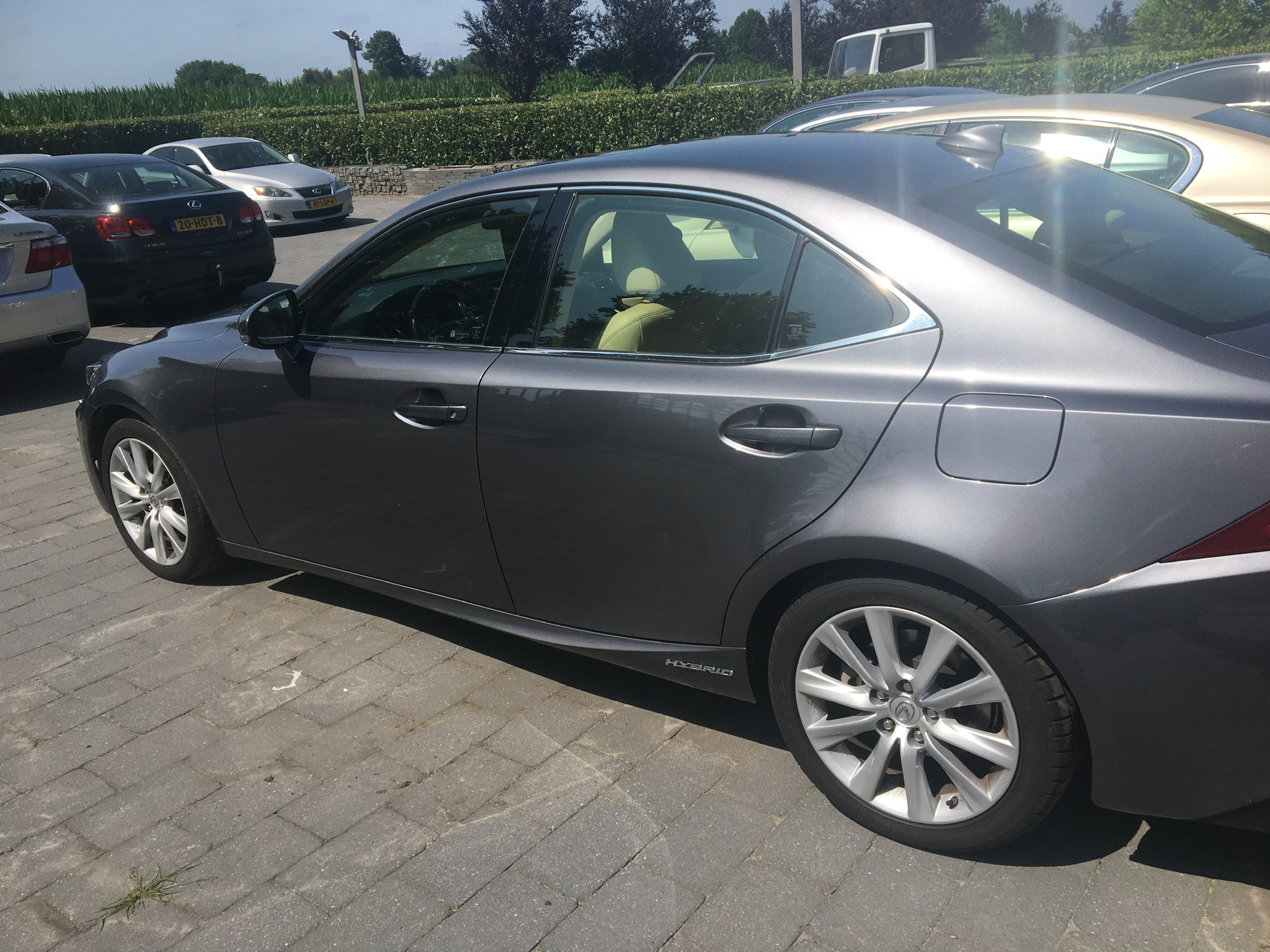 FD1A1E75-F30A-4407-9ECF-50098AC14295.jpeg FD1A1E75-F30A-4407-9ECF-50098AC14295.jpeg