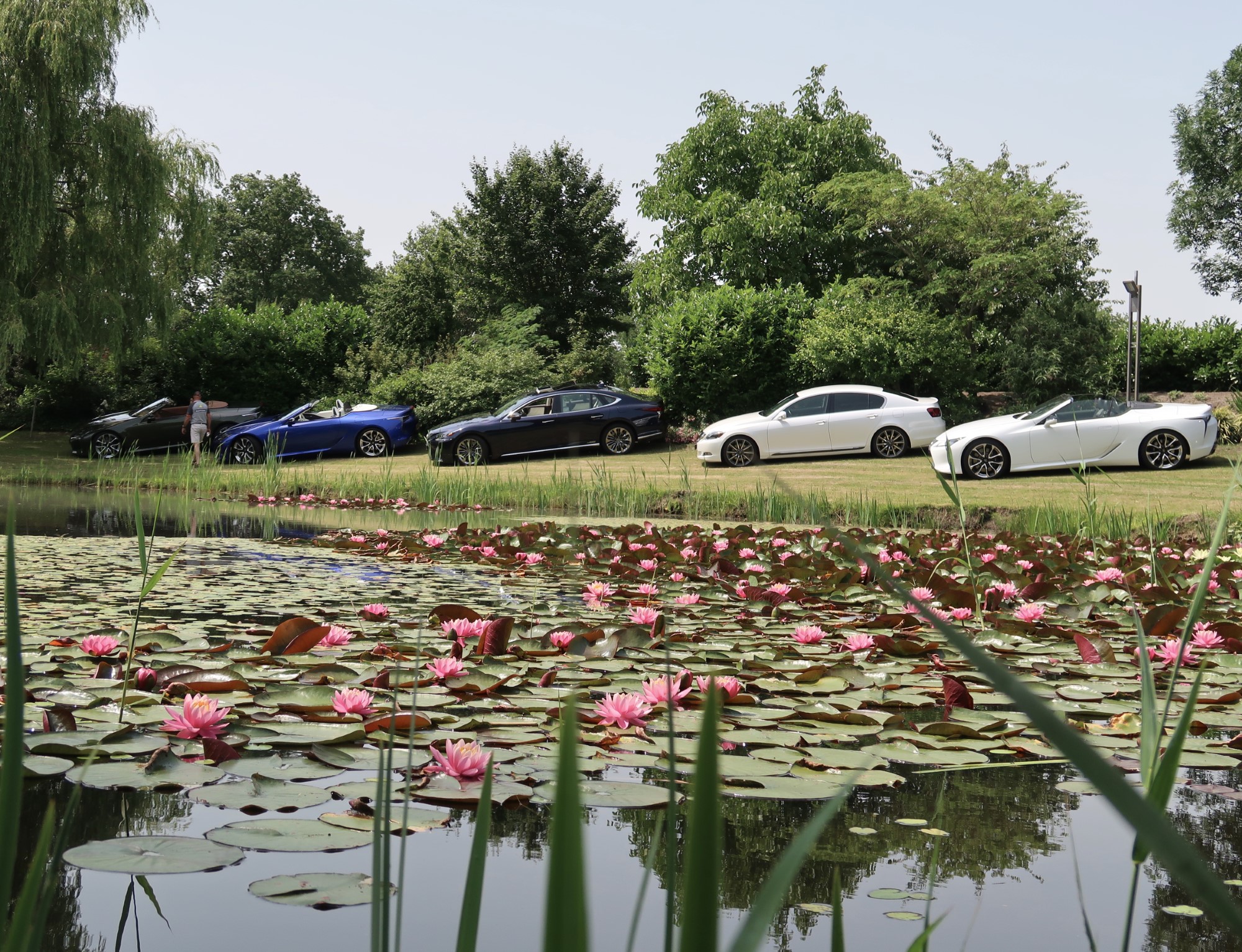 IMG_0786 (Aangepast).jpeg