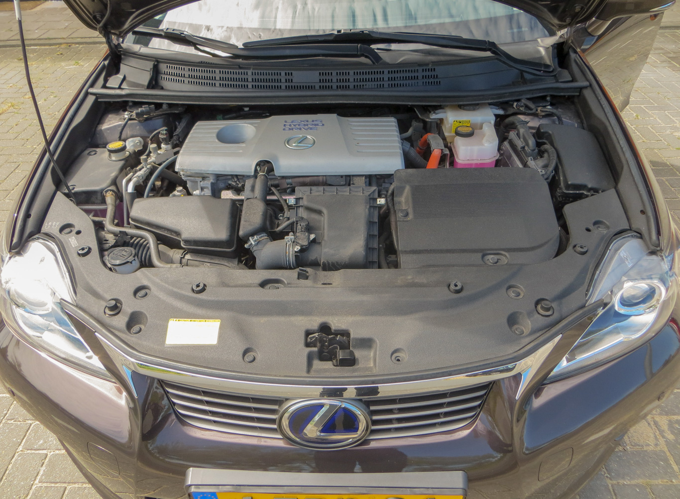 IMG_3114_edited.jpg IMG_3114_edited.jpg