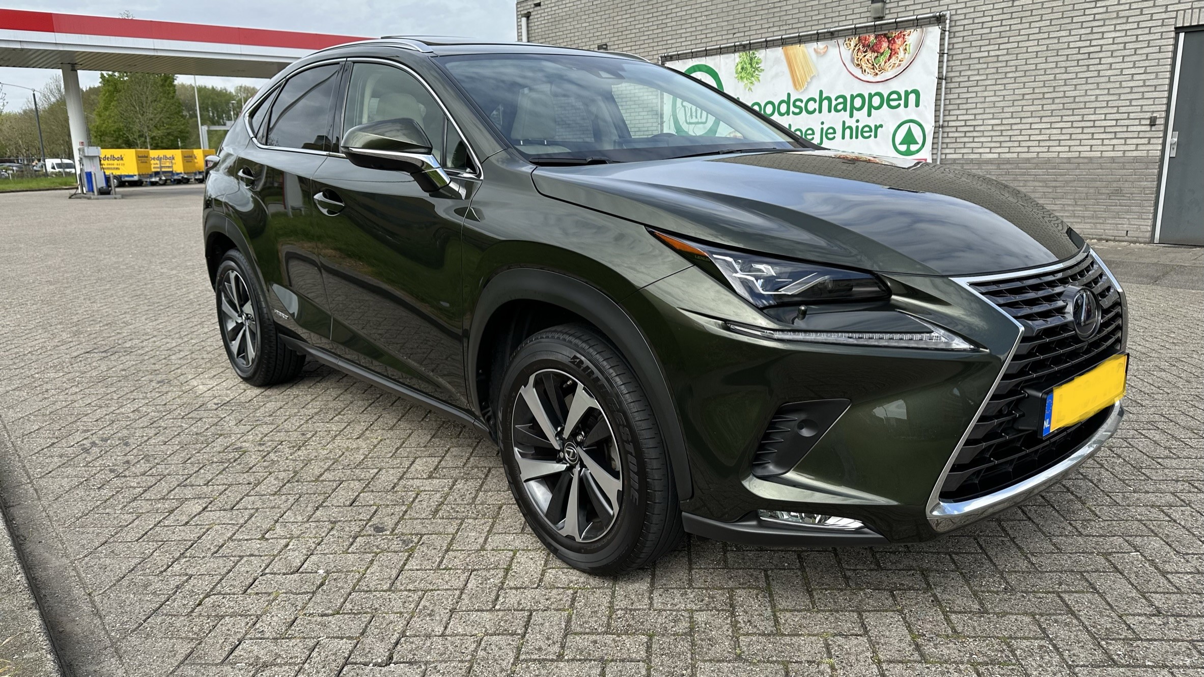 IMG_4448.JPEG IMG_4448.JPEG