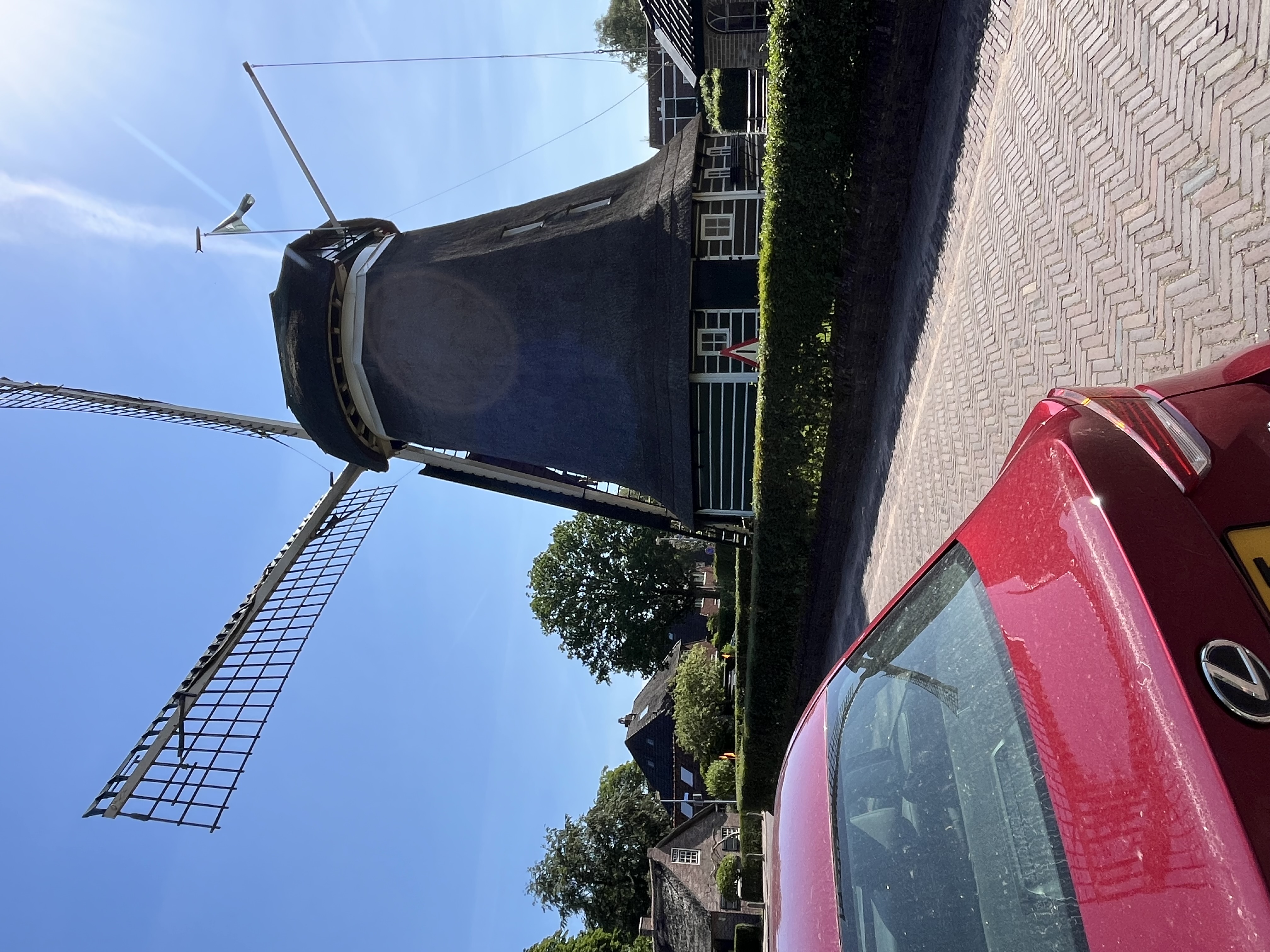 IMG_4520.jpeg
