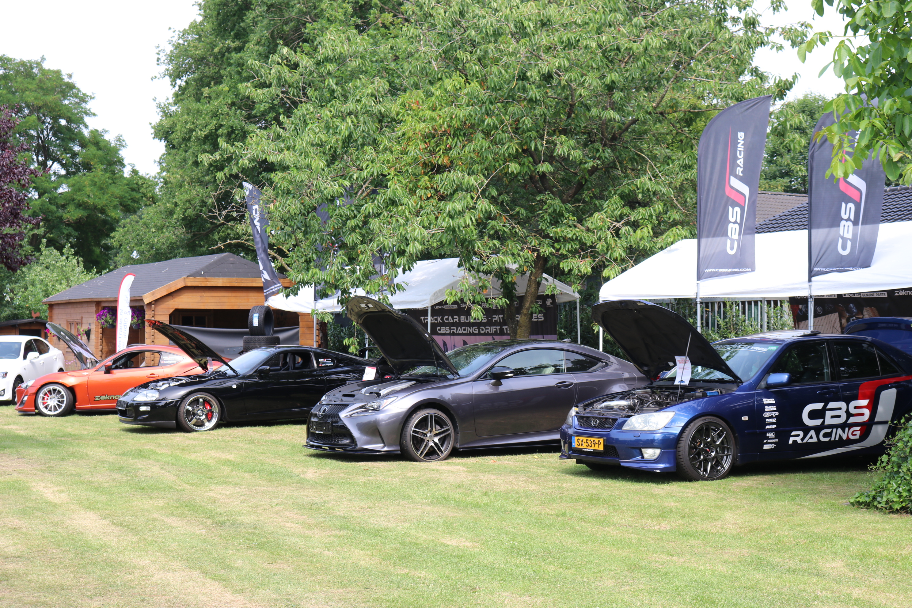 IMG_6831.JPG IMG_6831.JPG