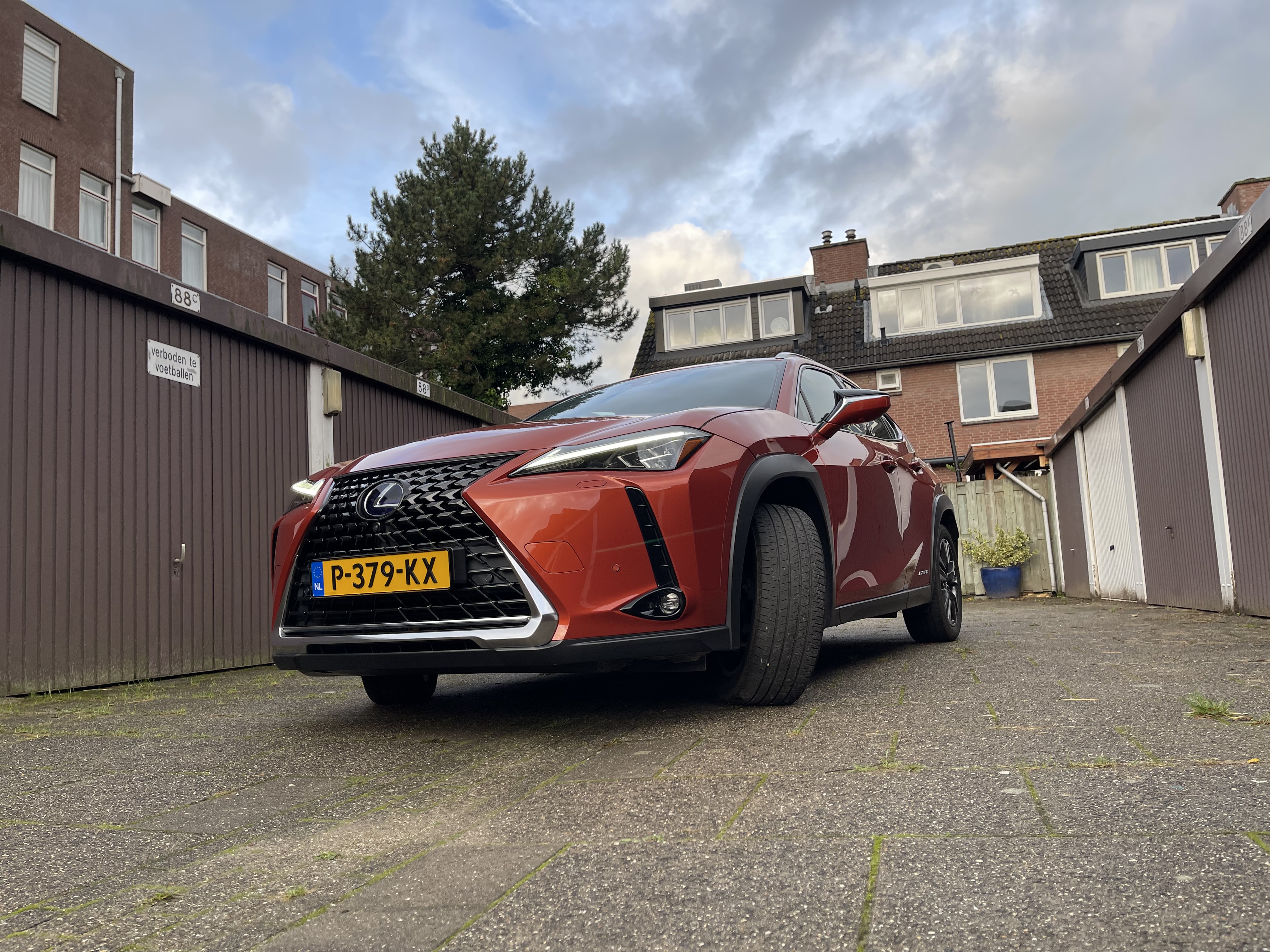 IMG_7985.jpg
