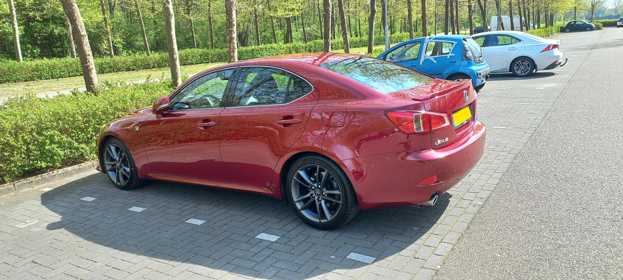 IS250_f Intratuin_2.jpeg