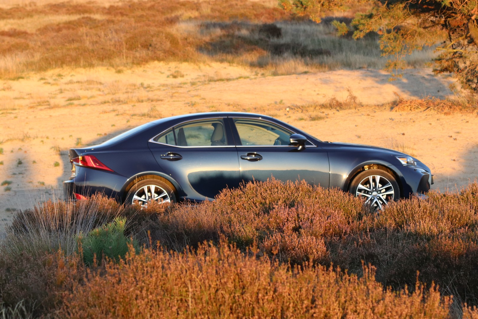 Lexus Veluwe 2018 (Groot).JPG