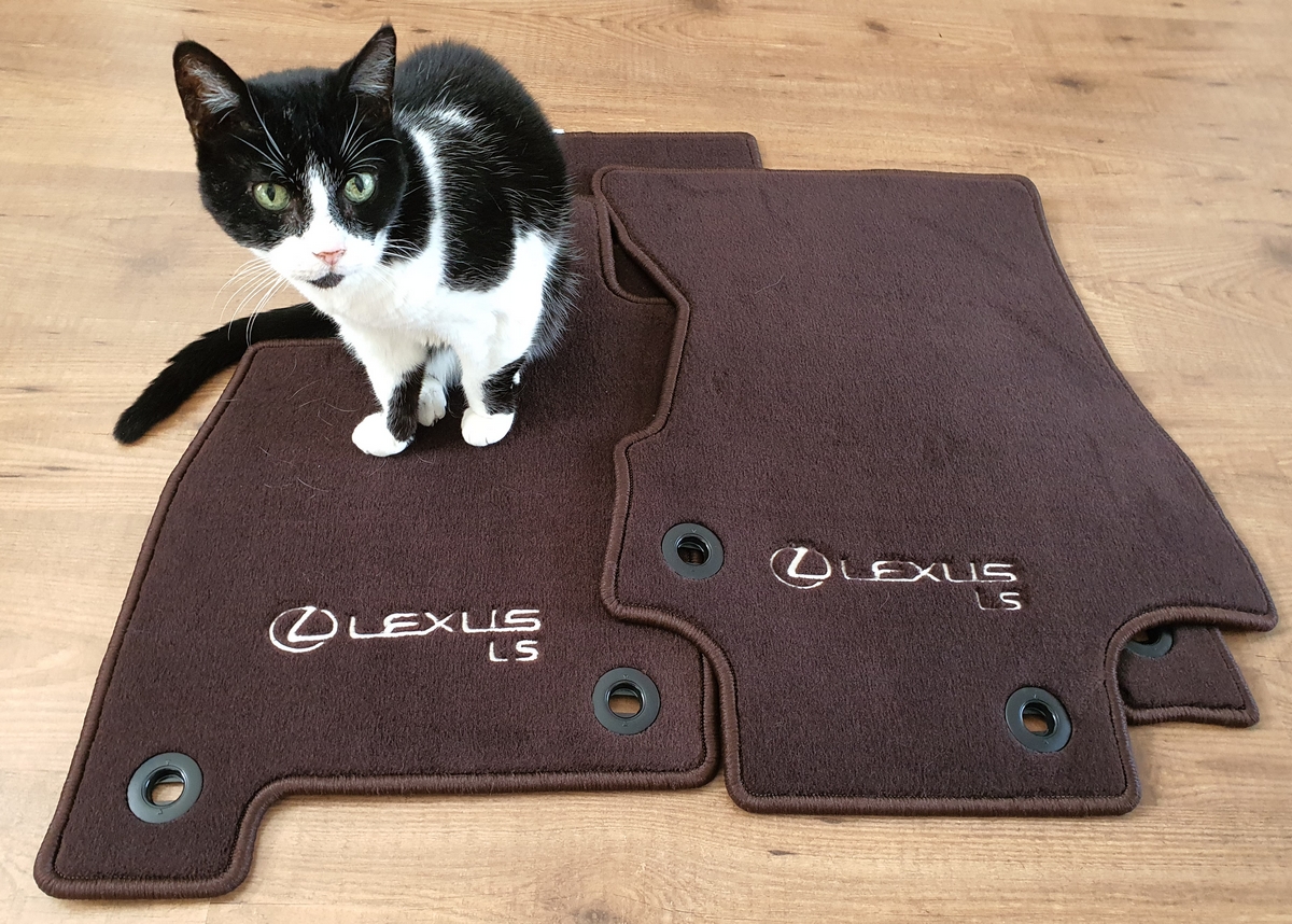 Matten en Puppet.jpg