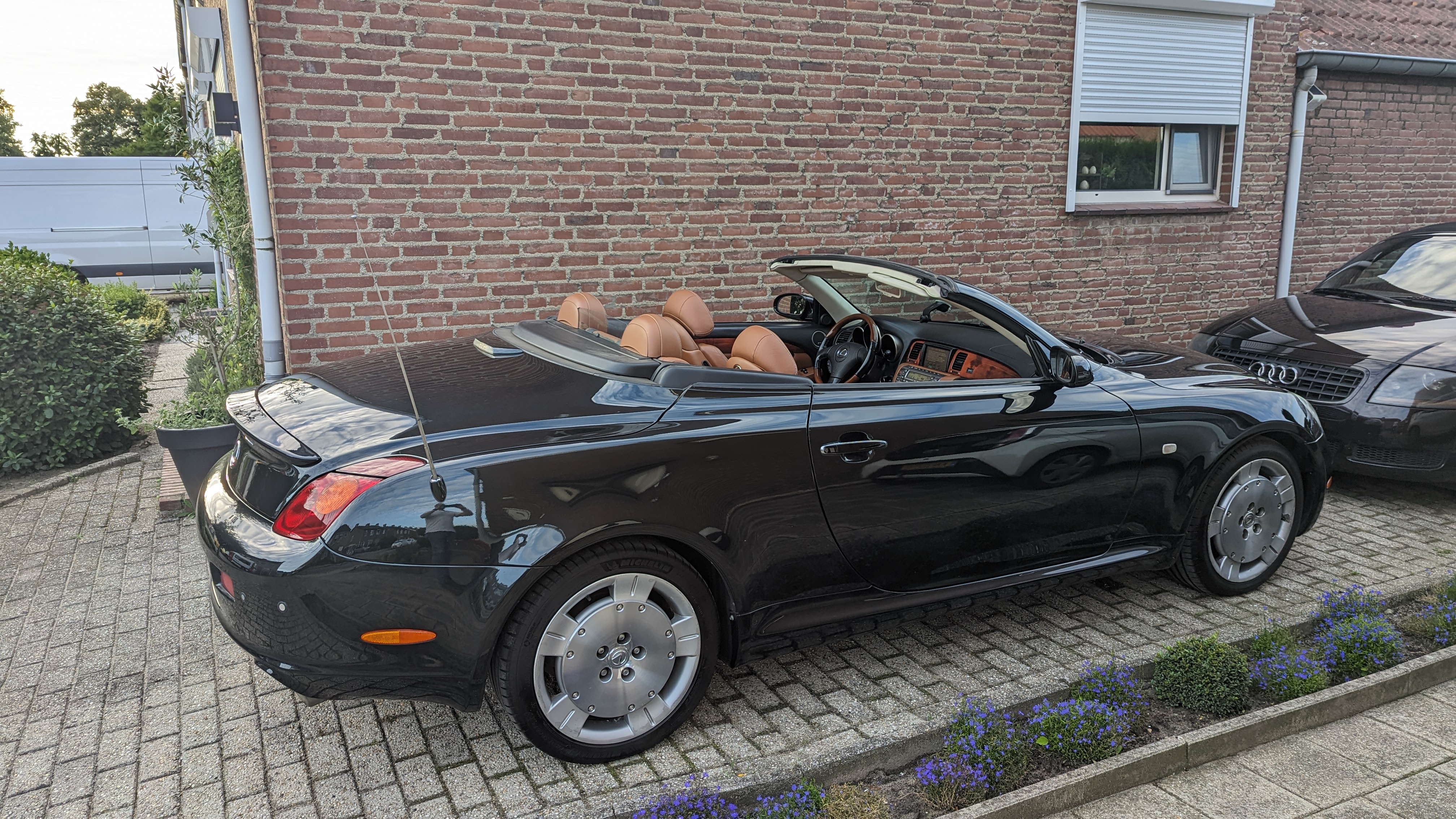 PXL_20230809_180131620.MP.jpg PXL_20230809_180131620.MP.jpg