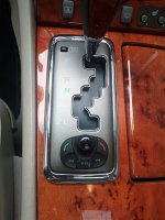 LS430 - Parrot (2).jpg