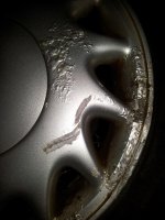 20120512_103304_resize.jpg