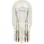 bulb.jpg