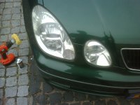 IMG00096-20130907-1626.jpg