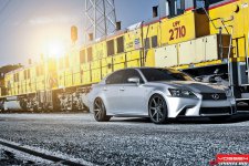 vossen.jpg