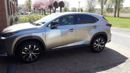 Lexus NX.jpg