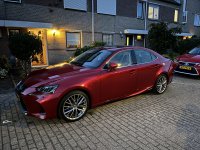 IMG_1382.jpeg