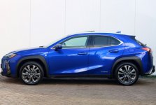 lexus 5.JPG