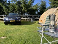 IMG_7386.jpeg