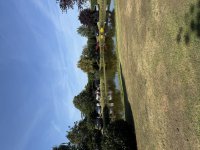 IMG_4338.jpeg