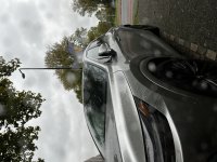 IMG_4006.jpeg