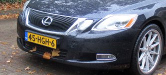 IMG_2264.JPG