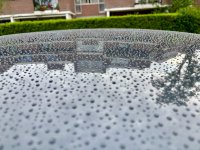 WhatsApp Image 2026-01-31 at 12.52.34 (7).jpeg