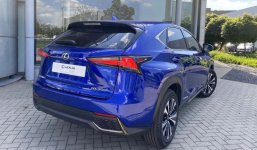 IMG_0087.jpeg IMG_0087.jpeg