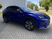 IMG_0077.jpeg IMG_0077.jpeg