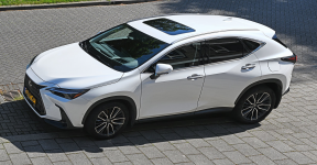 1771834427424.png 1771834427424.png