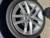 IMG_2455.jpeg