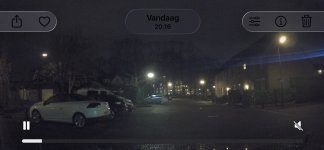 IMG_2495.jpeg
