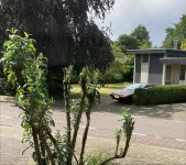IMG_4933.jpeg