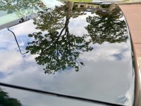 IMG_9444.jpeg