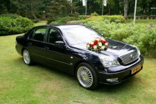 wilcobruidsauto.JPG