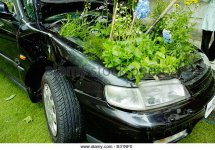 clean-green-environmentally-friendly-car-vehicle-transport-with-plants-b31nf0.jpg