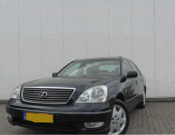 photo6121.gif