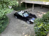 IMG_4620.jpeg