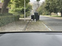 IMG_4681.jpeg